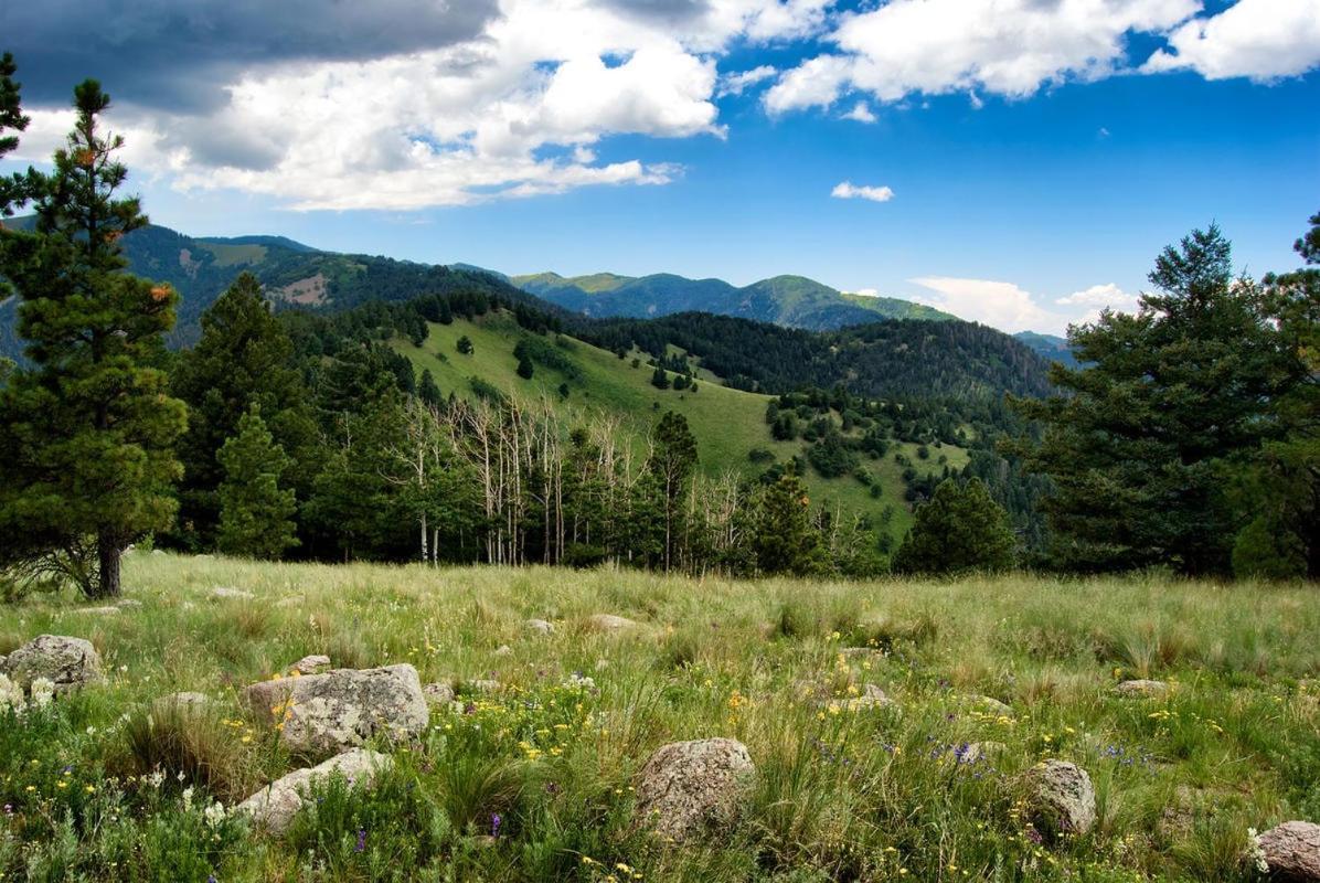 Windchaser, 1 Bedroom, Wood Burning Stove, Midtown, Sleeps 3 Ruidoso Kültér fotó